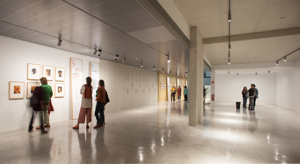 mateoarquitectura tonicatanyopening3